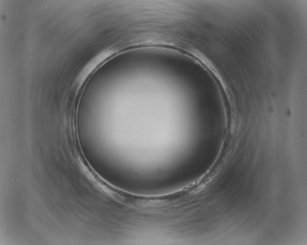 X0000056021293200509021746