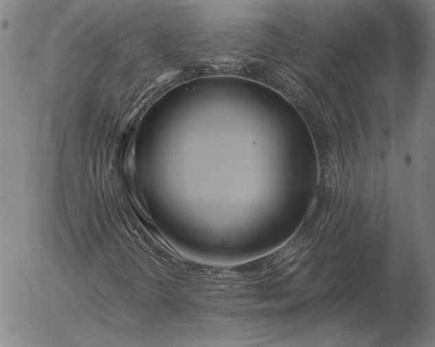 X0000056021298200509021745