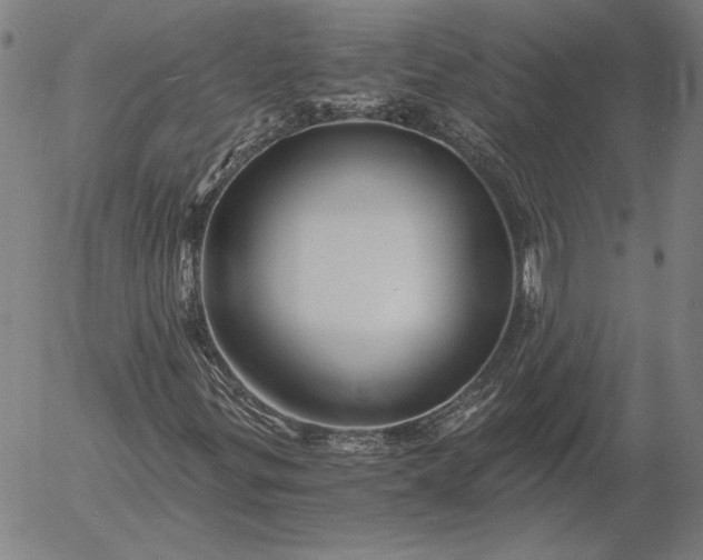 X0000056021299200509021745