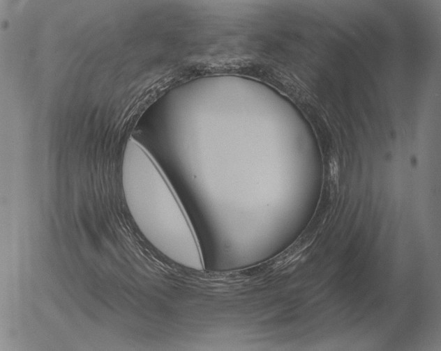 X0000056021300200509021745