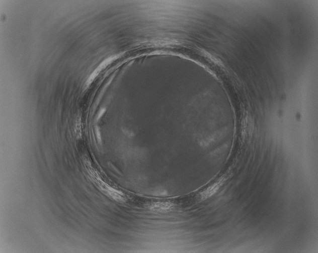 X0000056021306200509021745