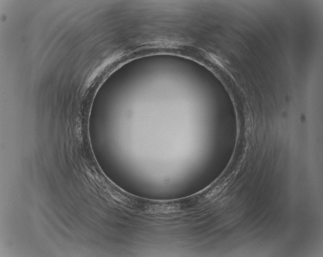 X0000056021307200509021745