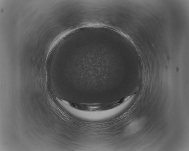X0000056021319200509021745