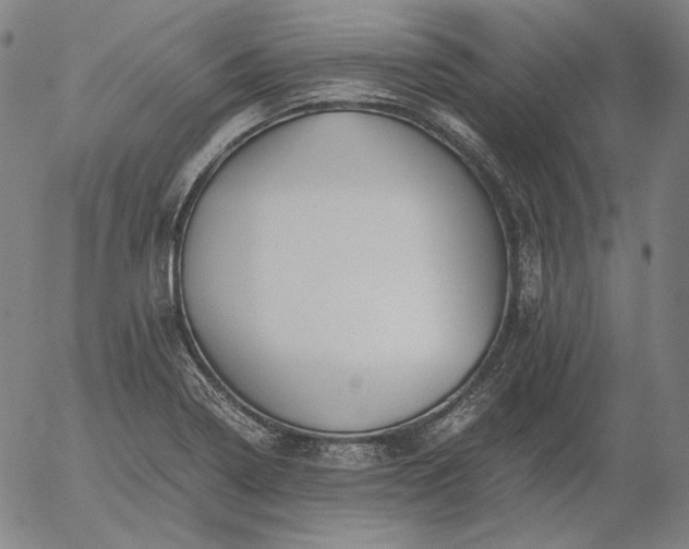 X0000056021322200509021745
