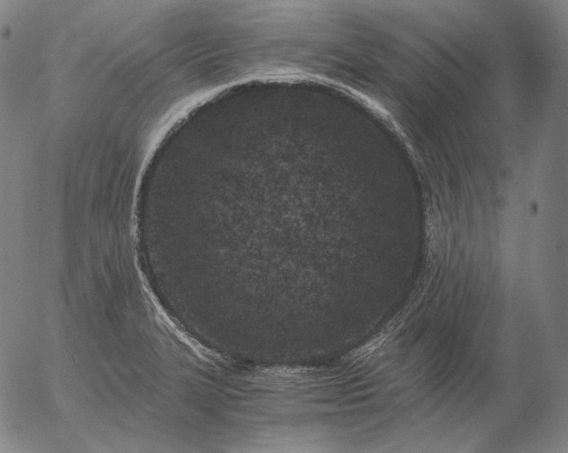 X0000056021327200509021746