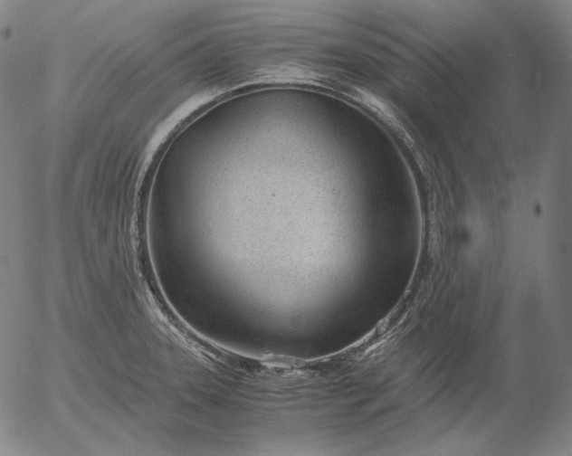 X0000056021331200509021746