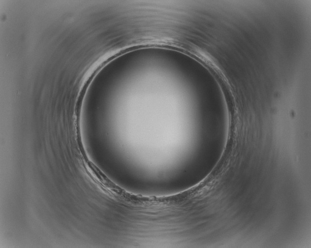 X0000056021332200509021746