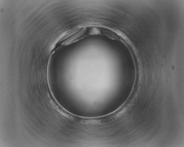 X0000056021337200509021746