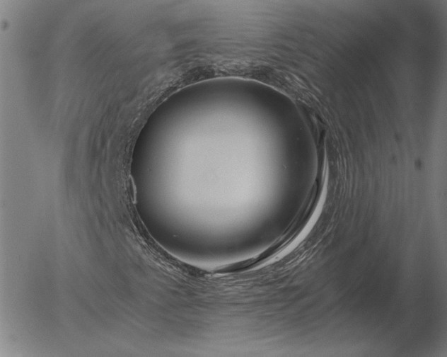 X0000056021345200509021745