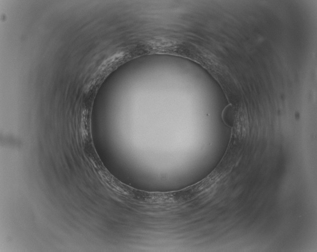 X0000056021346200509021745