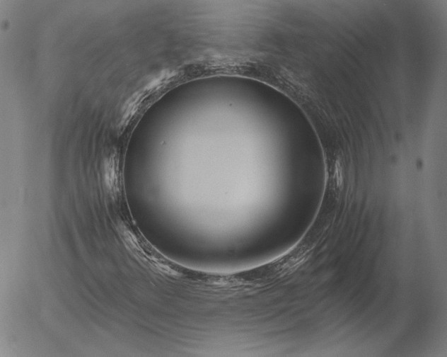 X0000056021348200509021745