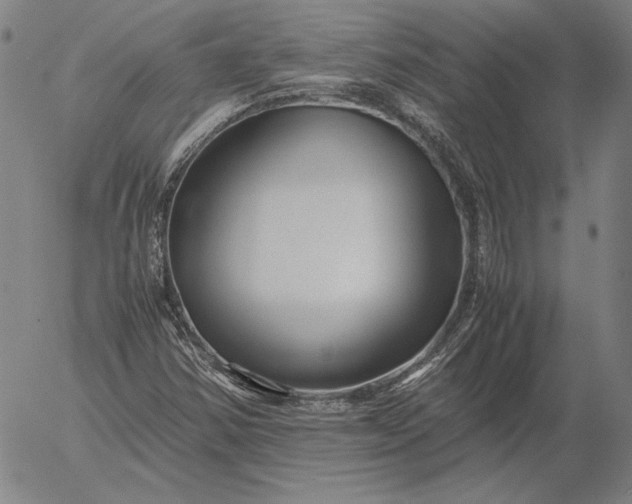 X0000056021354200509021745