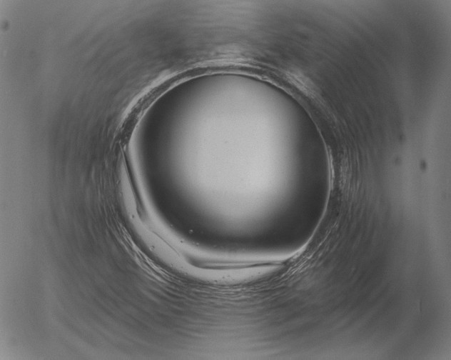 X0000056021356200509021745