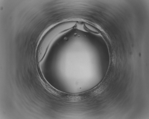 X0000056021372200509021745