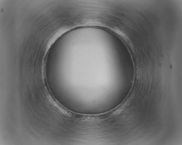 X0000056021374200509021745