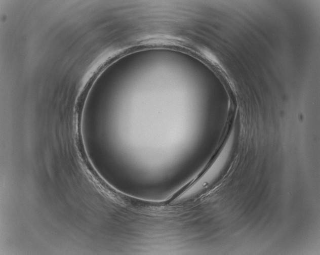 X0000056021376200509021744