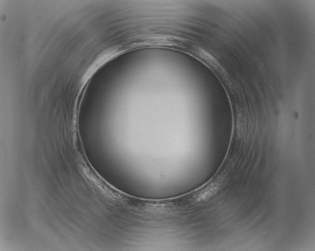 X0000056021378200509021744