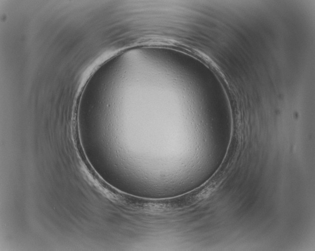 X0000056021379200509021744
