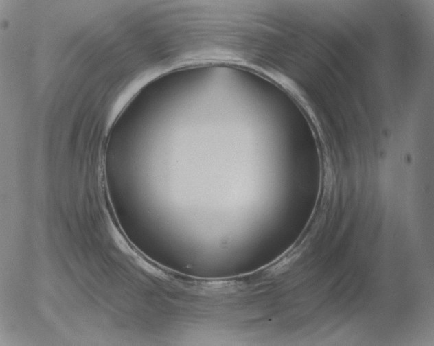 X0000056021390200509021744