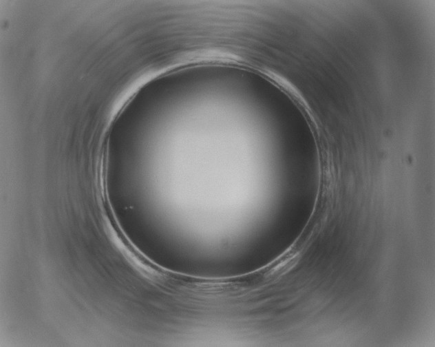 X0000056021391200509021744