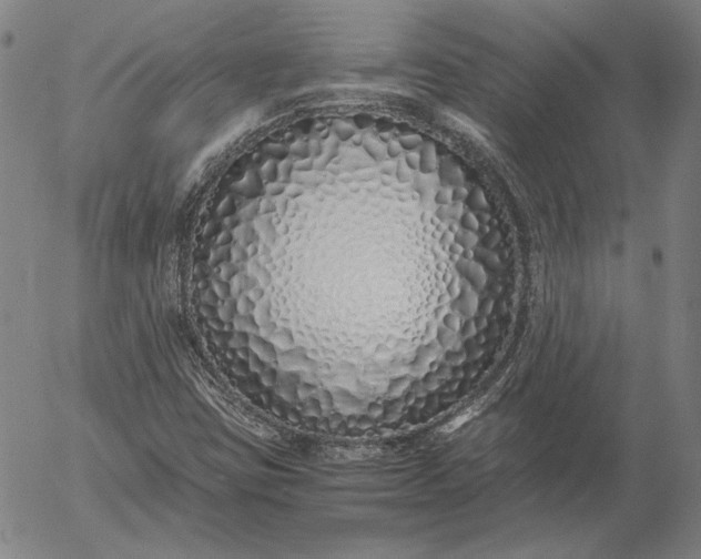 X0000056021403200509021744
