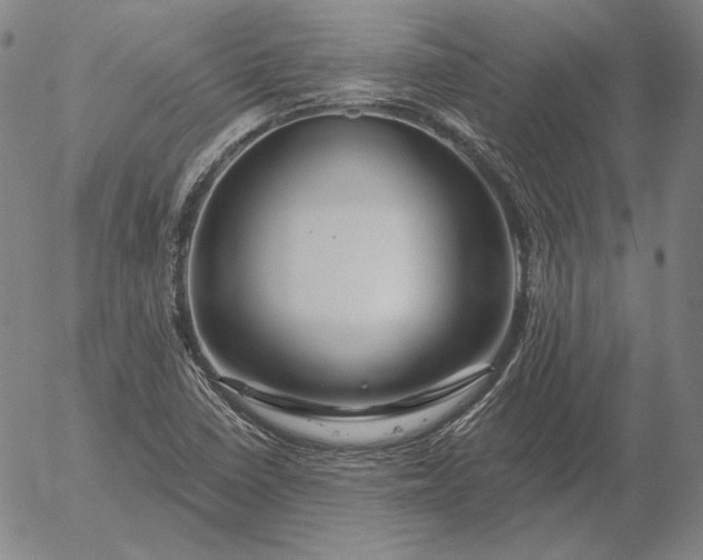 X0000056021410200509021744