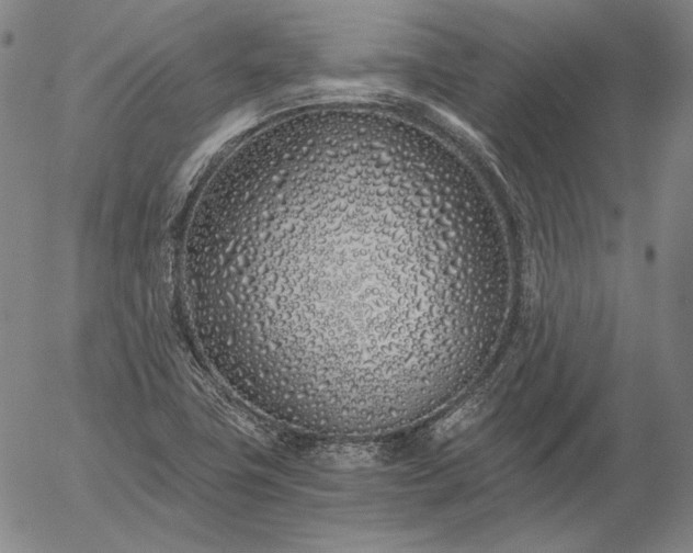 X0000056021411200509021744