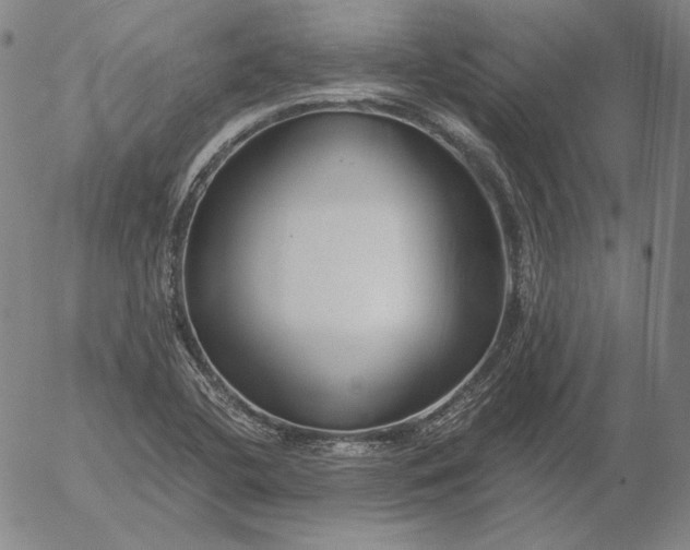 X0000056021412200509021744