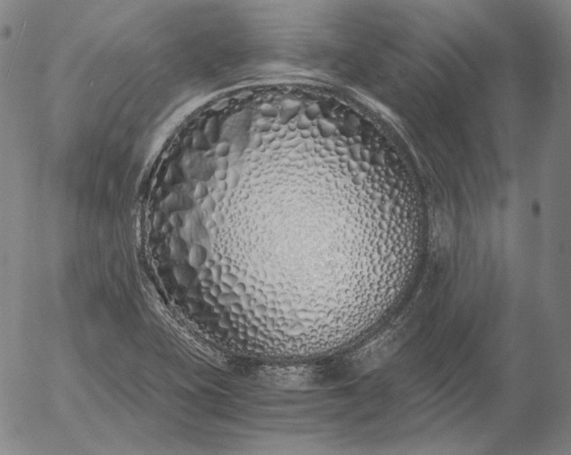 X0000056021415200509021744