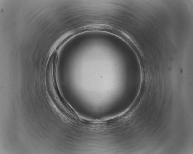 X0000056021418200509021744