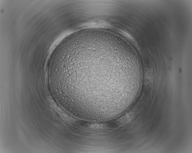 X0000056021419200509021744
