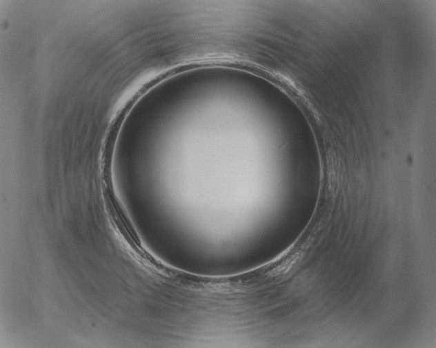 X0000056021422200509021744