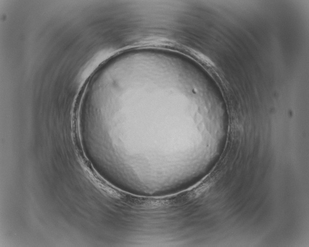 X0000056021423200509021744