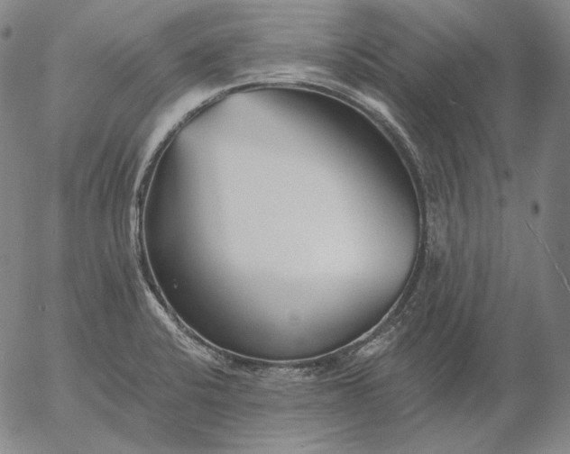X0000056021424200509021744