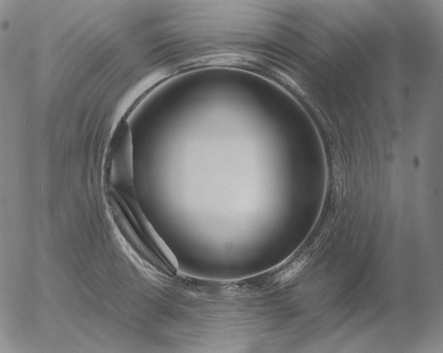 X0000056021426200509021744