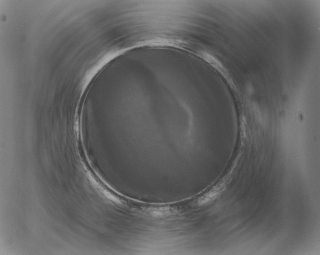 X0000056021428200509021744