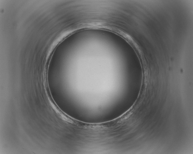 X0000056021432200509021744