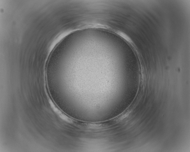 X0000056021439200509021744