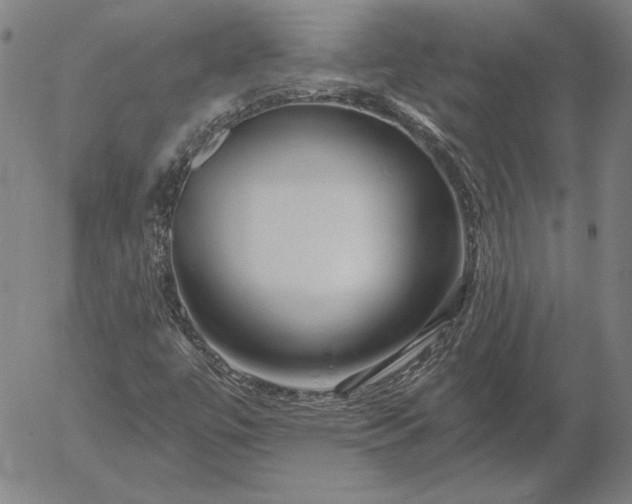 X0000056021447200509021743