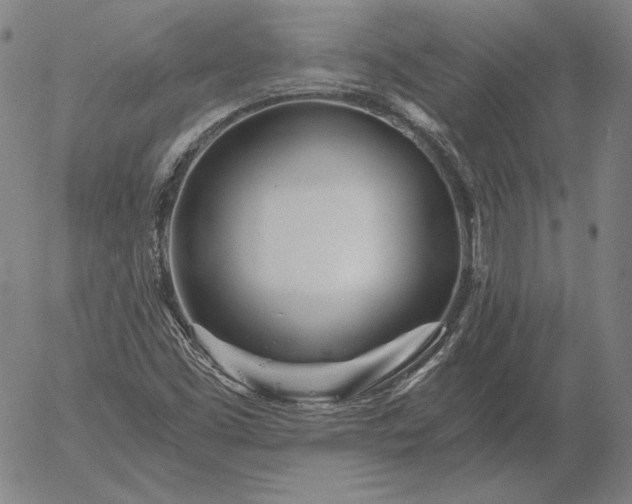 X0000056021453200509021743