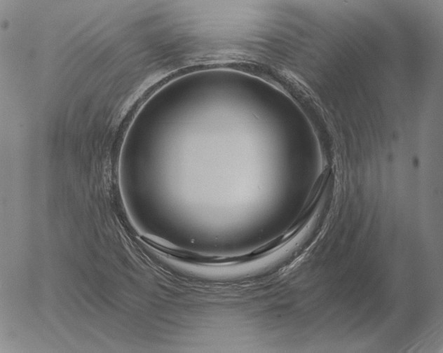 X0000056021457200509021743