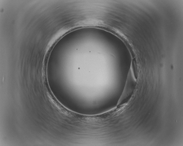 X0000056021469200509021743