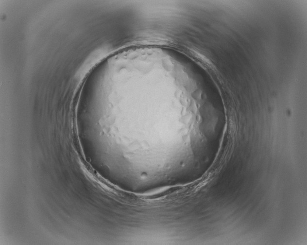 X0000056021471200509021743