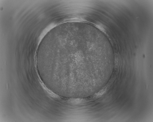 X0000056021474200509021743