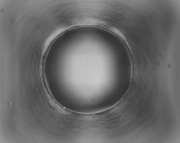 X0000056021480200509021743