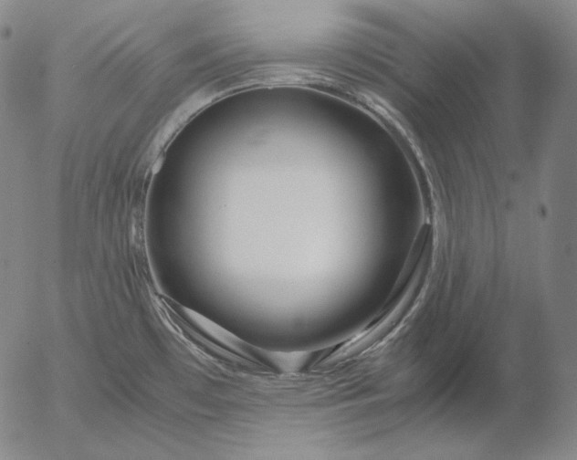 X0000056021481200509021743