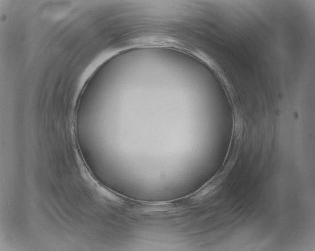 X0000056021486200509021743