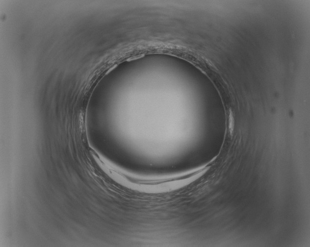 X0000056021492200509021742