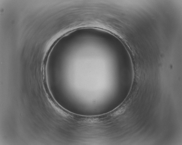 X0000056021519200509021742