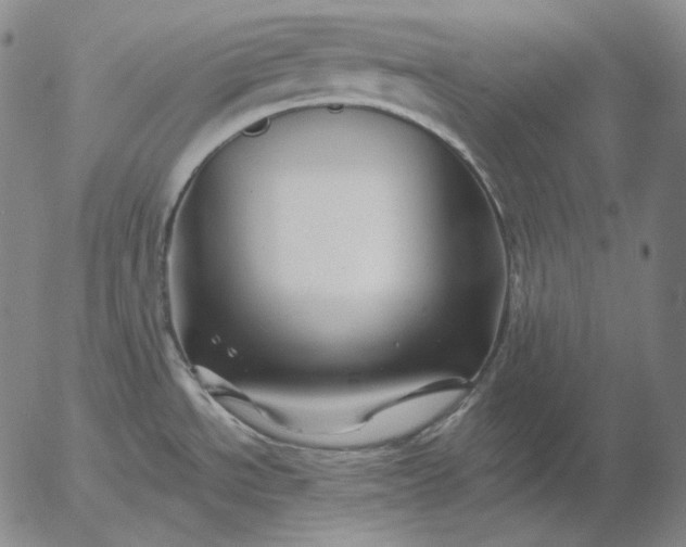 X0000056021534200509021743